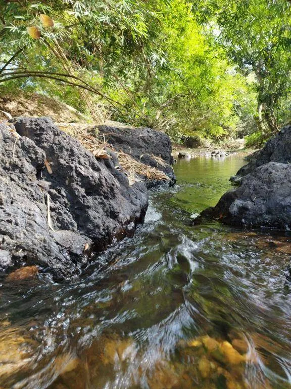 Fazenda à venda de 1.659 ha em Cuiabá, MT, Brasil