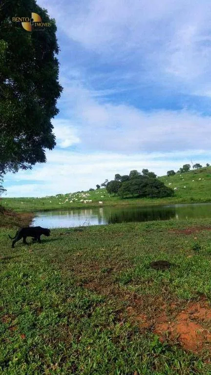 Fazenda à venda de 1.659 ha em Cuiabá, MT, Brasil