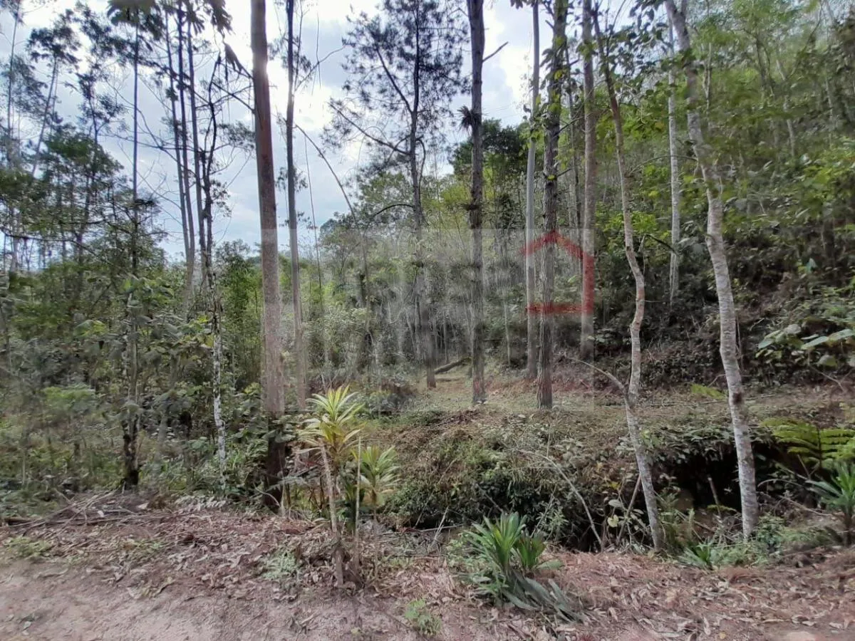 Small farm for sale of 16 acres in Natividade da Serra, SP, Brazil