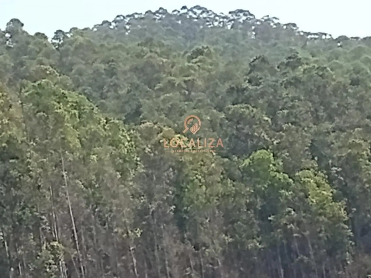 Fazenda à venda de 337 ha em Areias, SP, Brasil