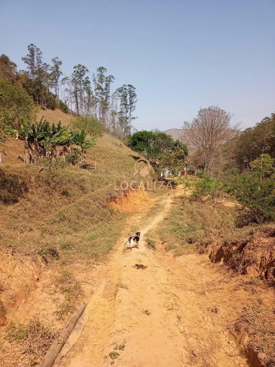 Fazenda à venda de 337 ha em Areias, SP, Brasil