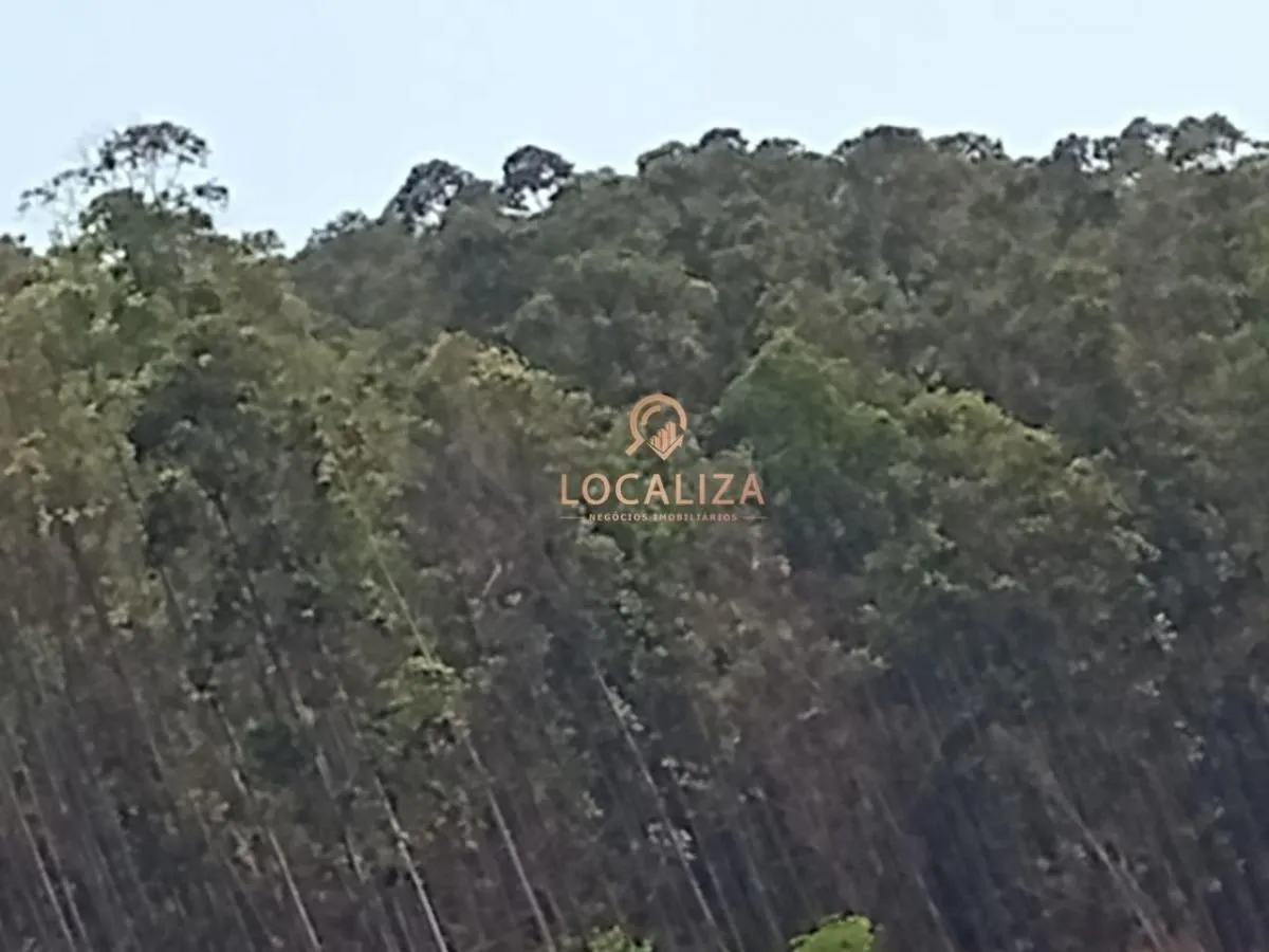 Fazenda à venda de 337 ha em Areias, SP, Brasil