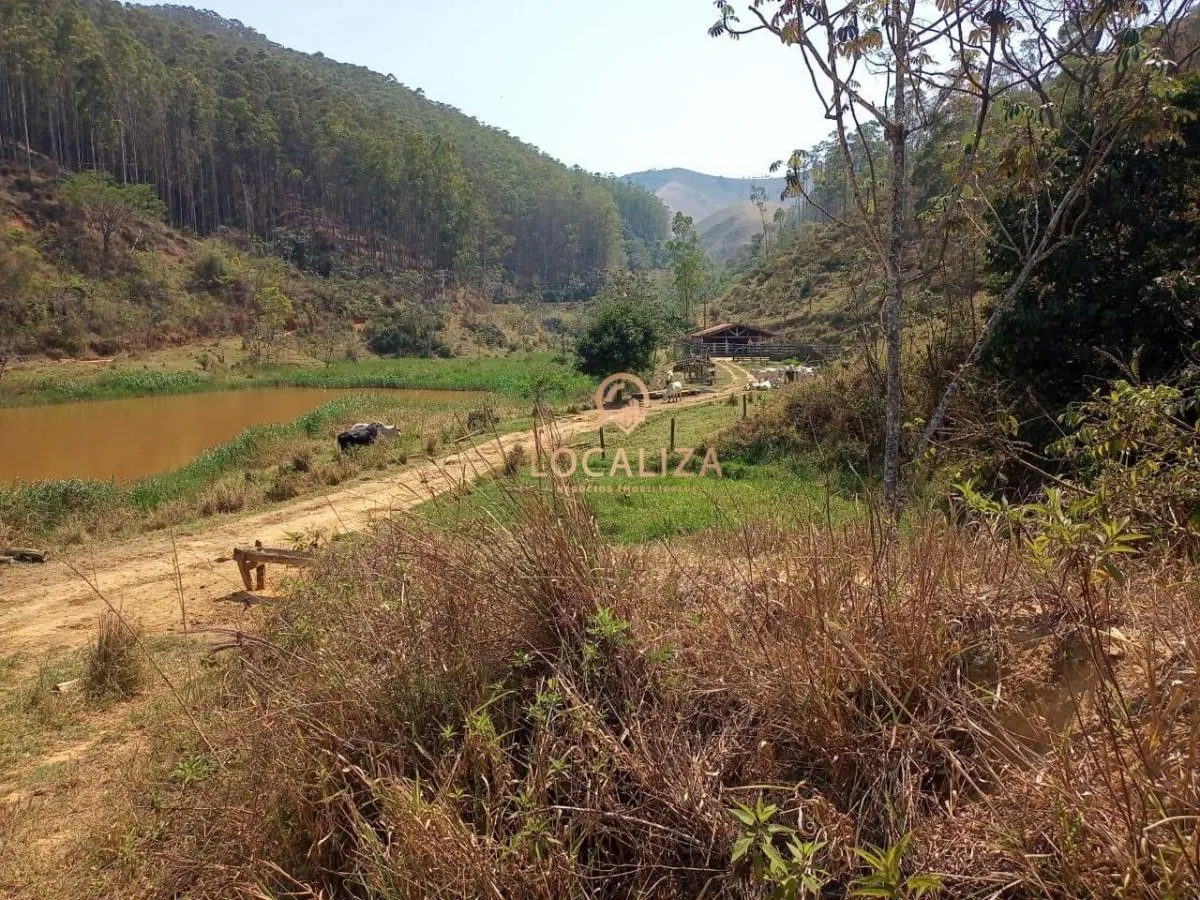 Fazenda à venda de 337 ha em Areias, SP, Brasil