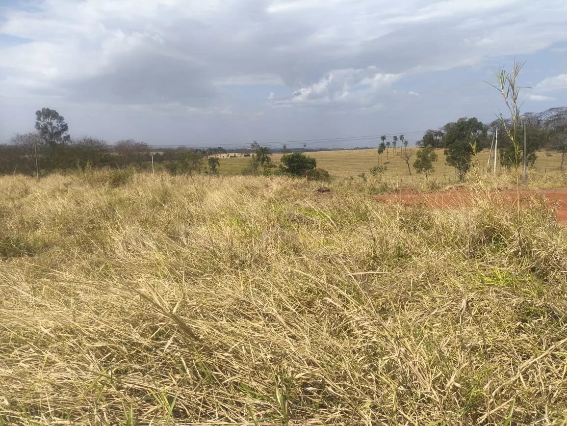 Terreno à venda de 2 ha em Valentim Gentil, SP, Brasil