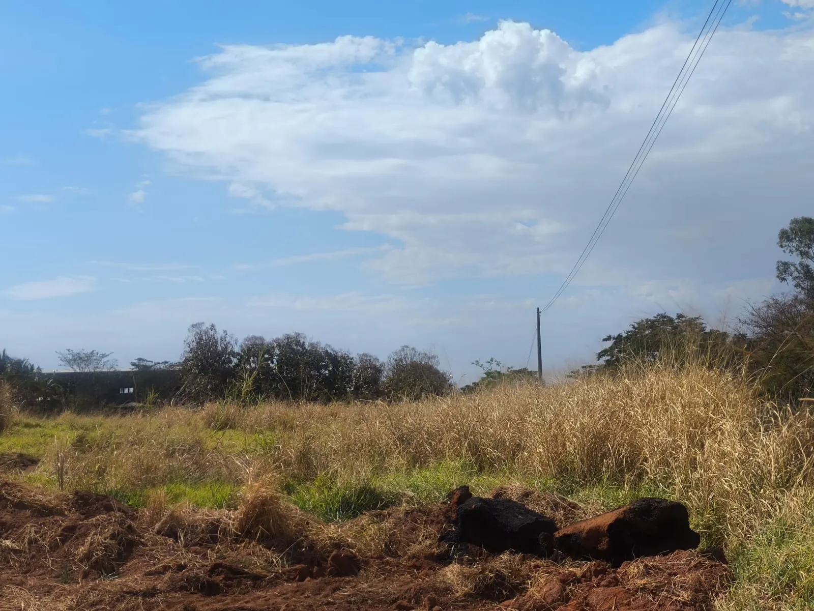 Terreno à venda de 2 ha em Valentim Gentil, SP, Brasil