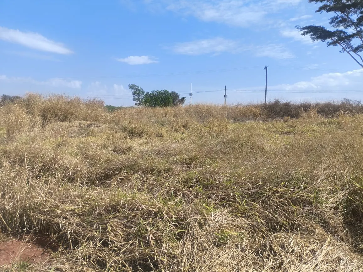 Terreno à venda de 2 ha em Valentim Gentil, SP, Brasil