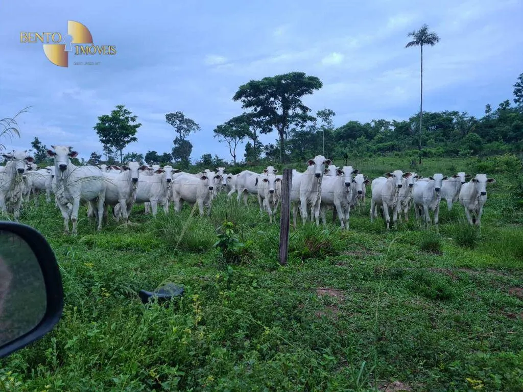 Fazenda à venda de 2.057 ha em Nova Bandeirantes, MT, Brasil
