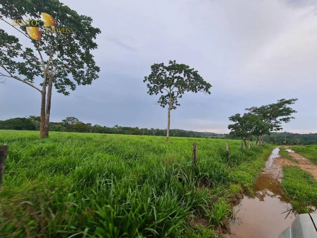Fazenda à venda de 2.057 ha em Nova Bandeirantes, MT, Brasil