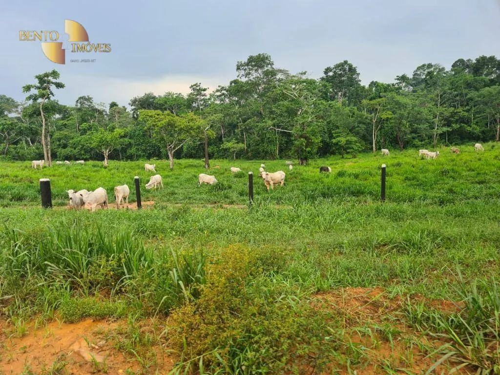 Fazenda à venda de 2.057 ha em Nova Bandeirantes, MT, Brasil