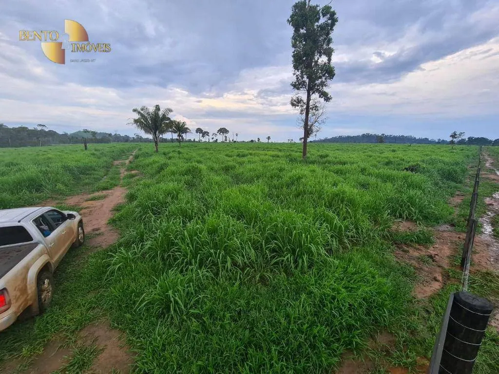 Fazenda à venda de 2.057 ha em Nova Bandeirantes, MT, Brasil