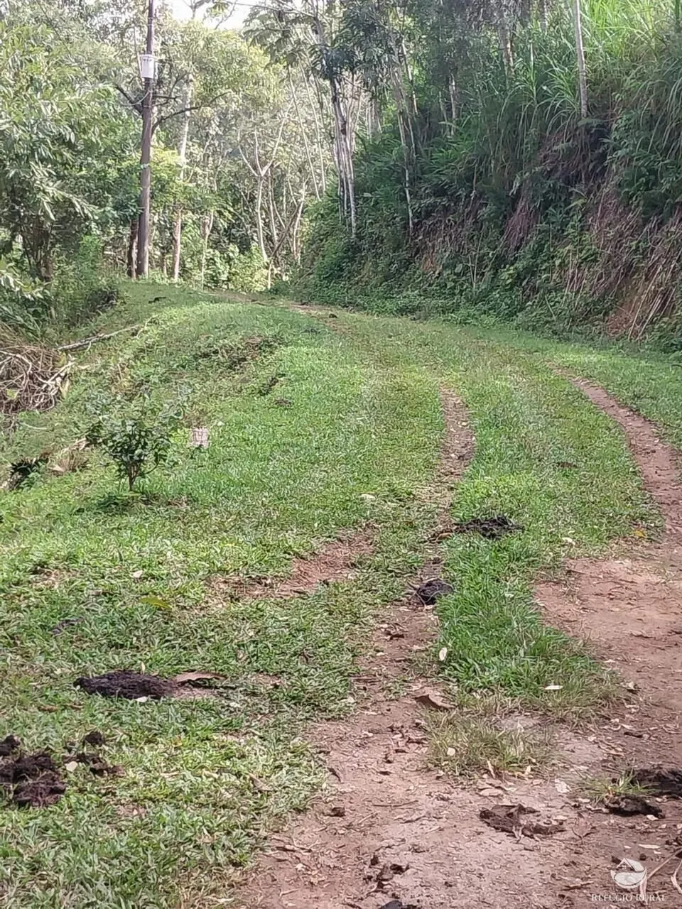 Sítio à venda de 9 ha em São José dos Campos, SP, Brasil