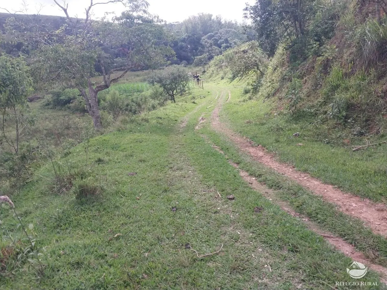 Sítio à venda de 9 ha em São José dos Campos, SP, Brasil