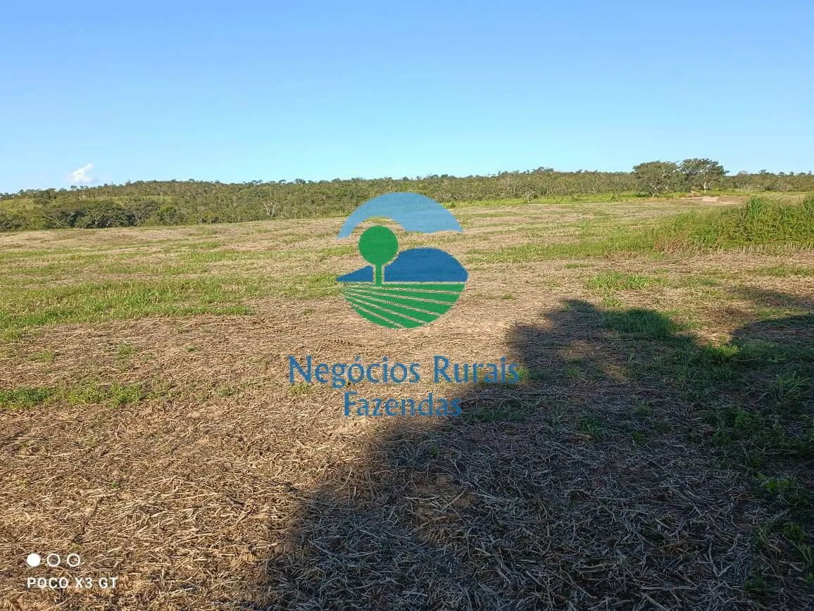 Fazenda à venda de 159 ha em Ipameri, GO, Brasil