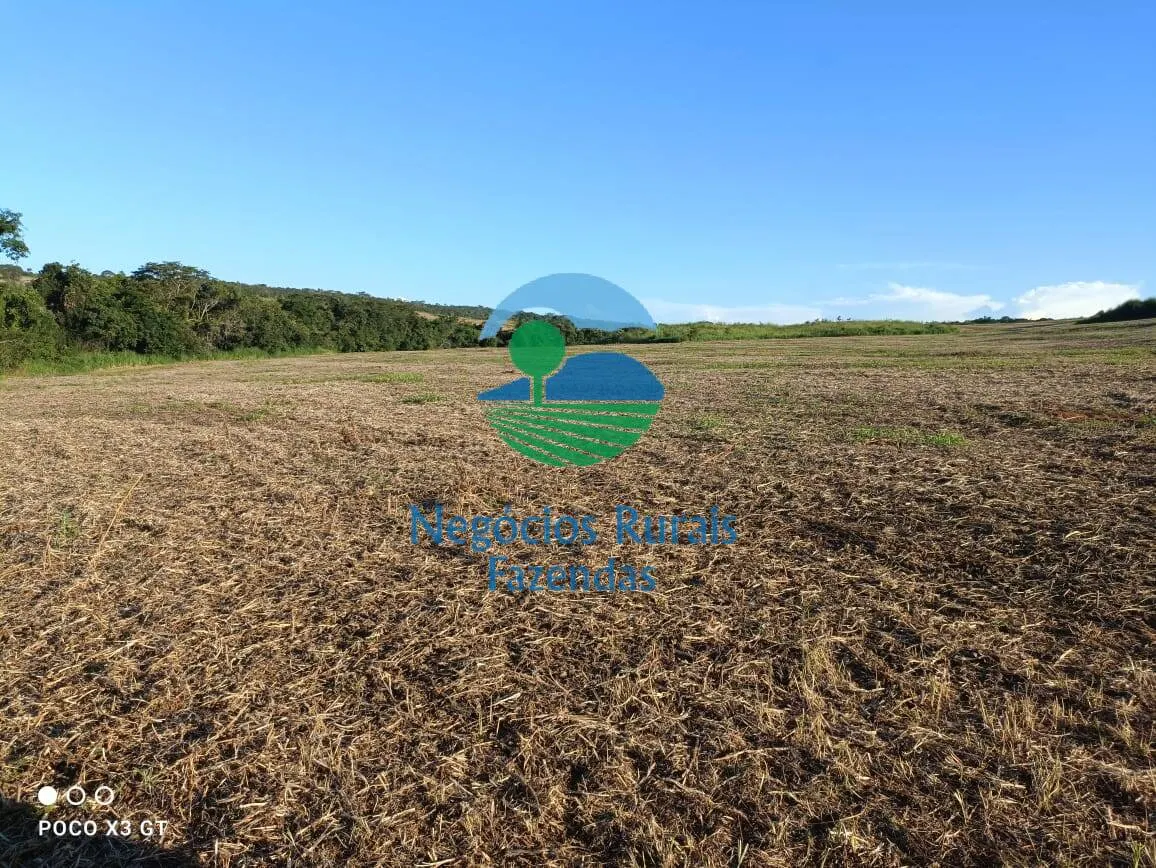 Fazenda à venda de 159 ha em Ipameri, GO, Brasil