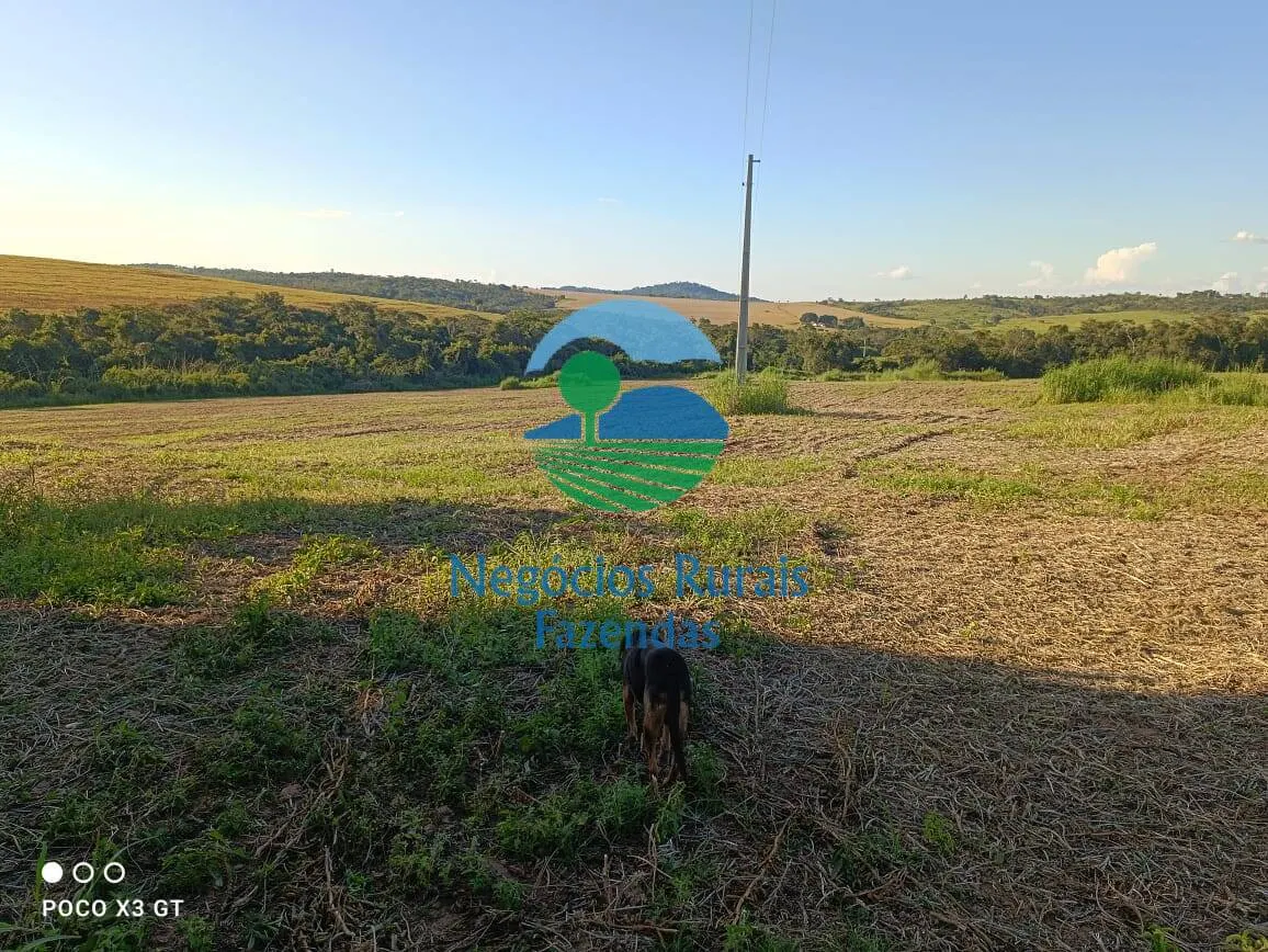 Fazenda à venda de 159 ha em Ipameri, GO, Brasil
