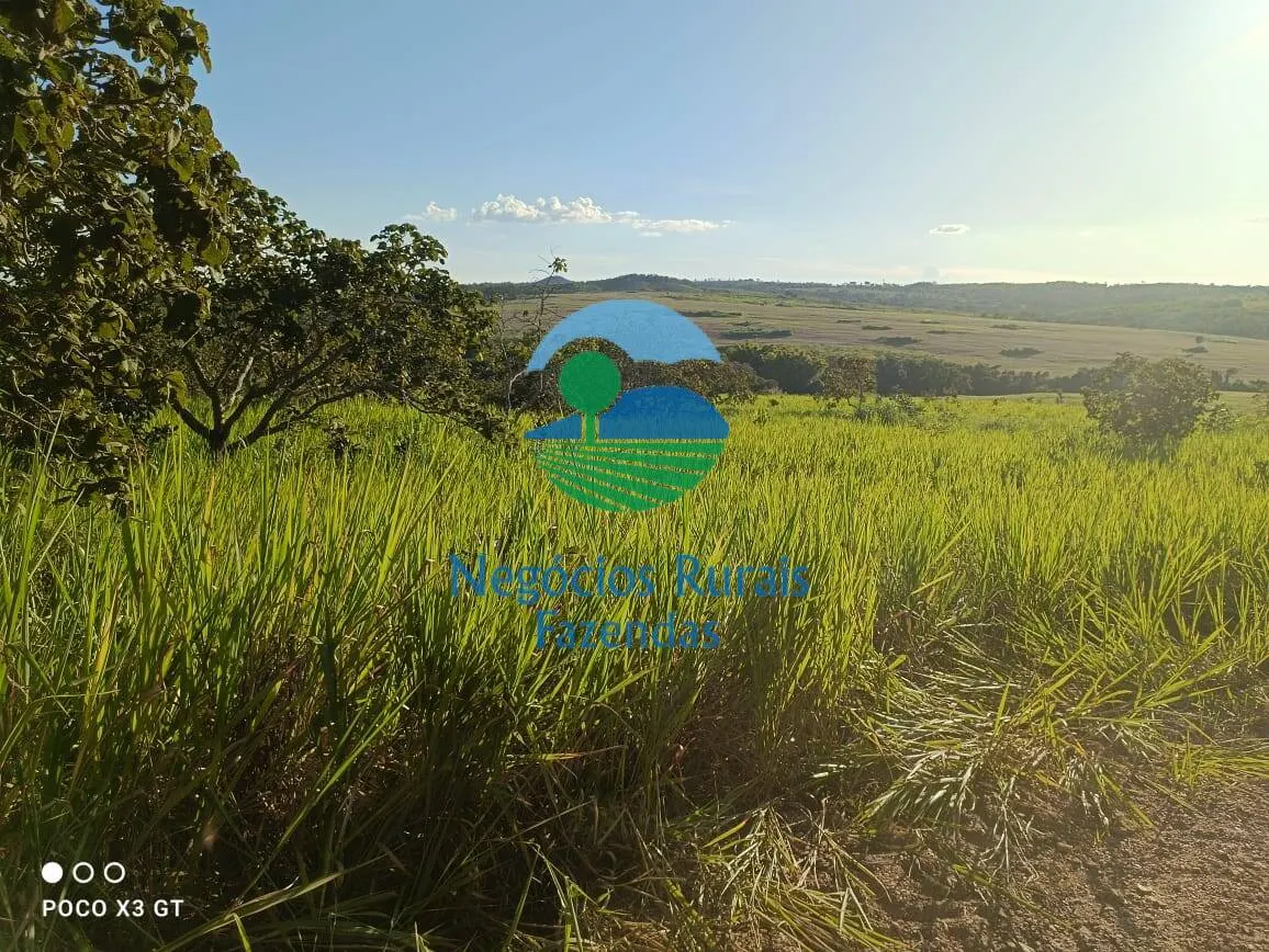 Fazenda à venda de 159 ha em Ipameri, GO, Brasil