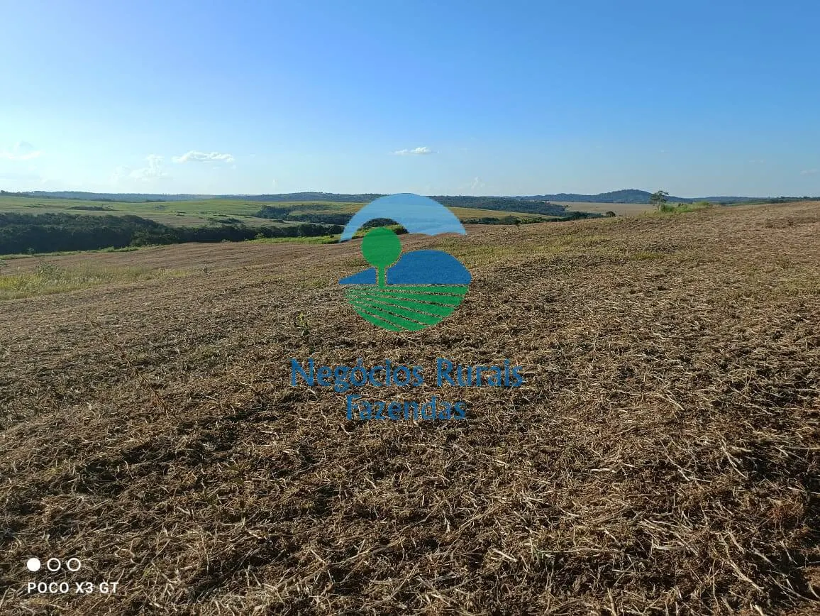 Fazenda à venda de 159 ha em Ipameri, GO, Brasil