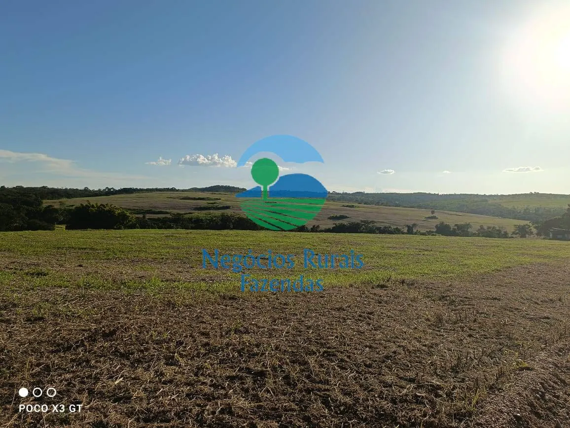 Fazenda à venda de 159 ha em Ipameri, GO, Brasil