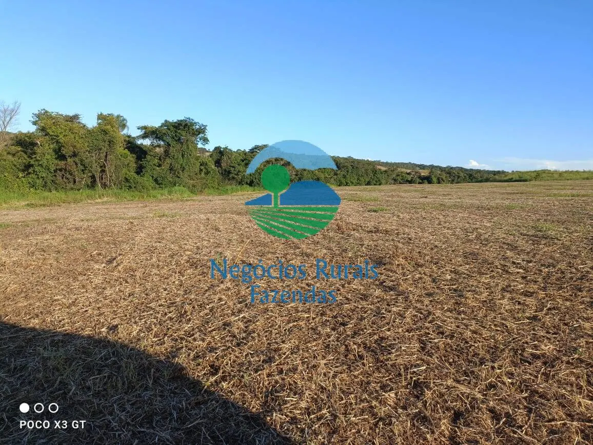 Fazenda à venda de 159 ha em Ipameri, GO, Brasil