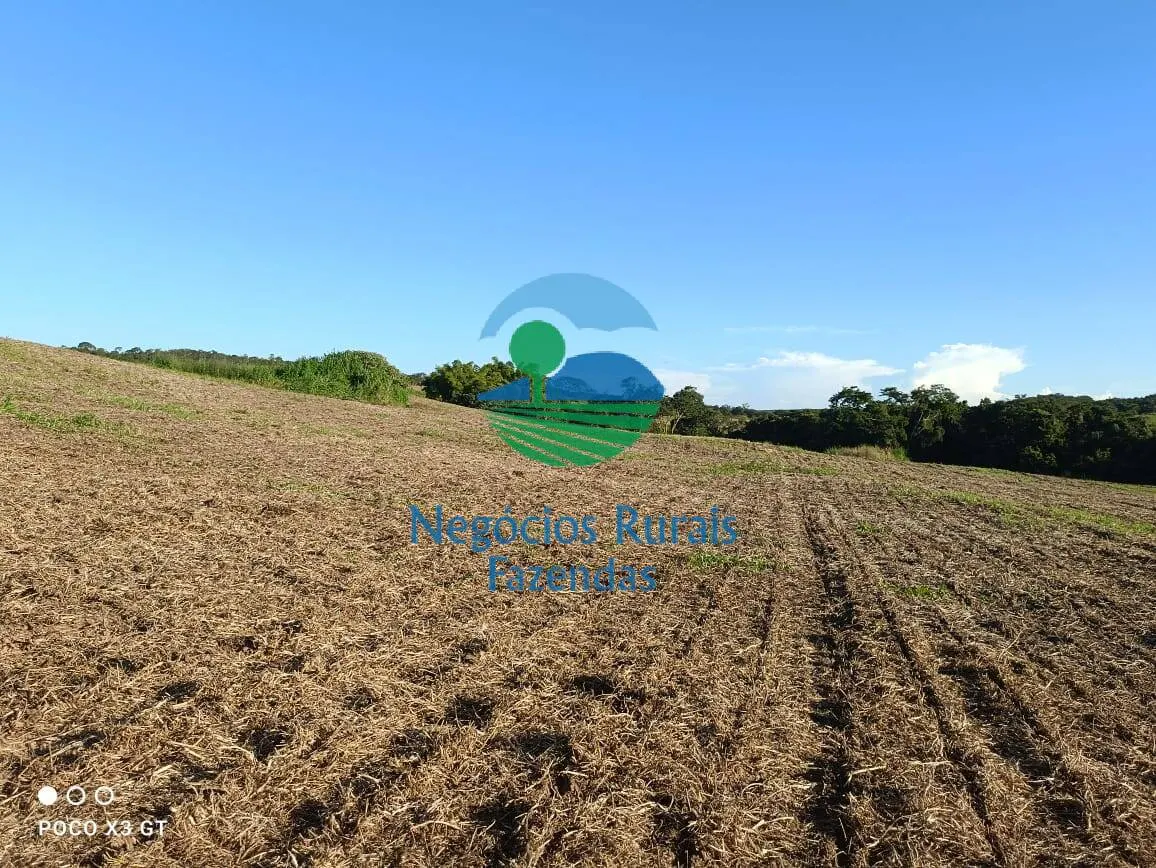 Fazenda à venda de 159 ha em Ipameri, GO, Brasil