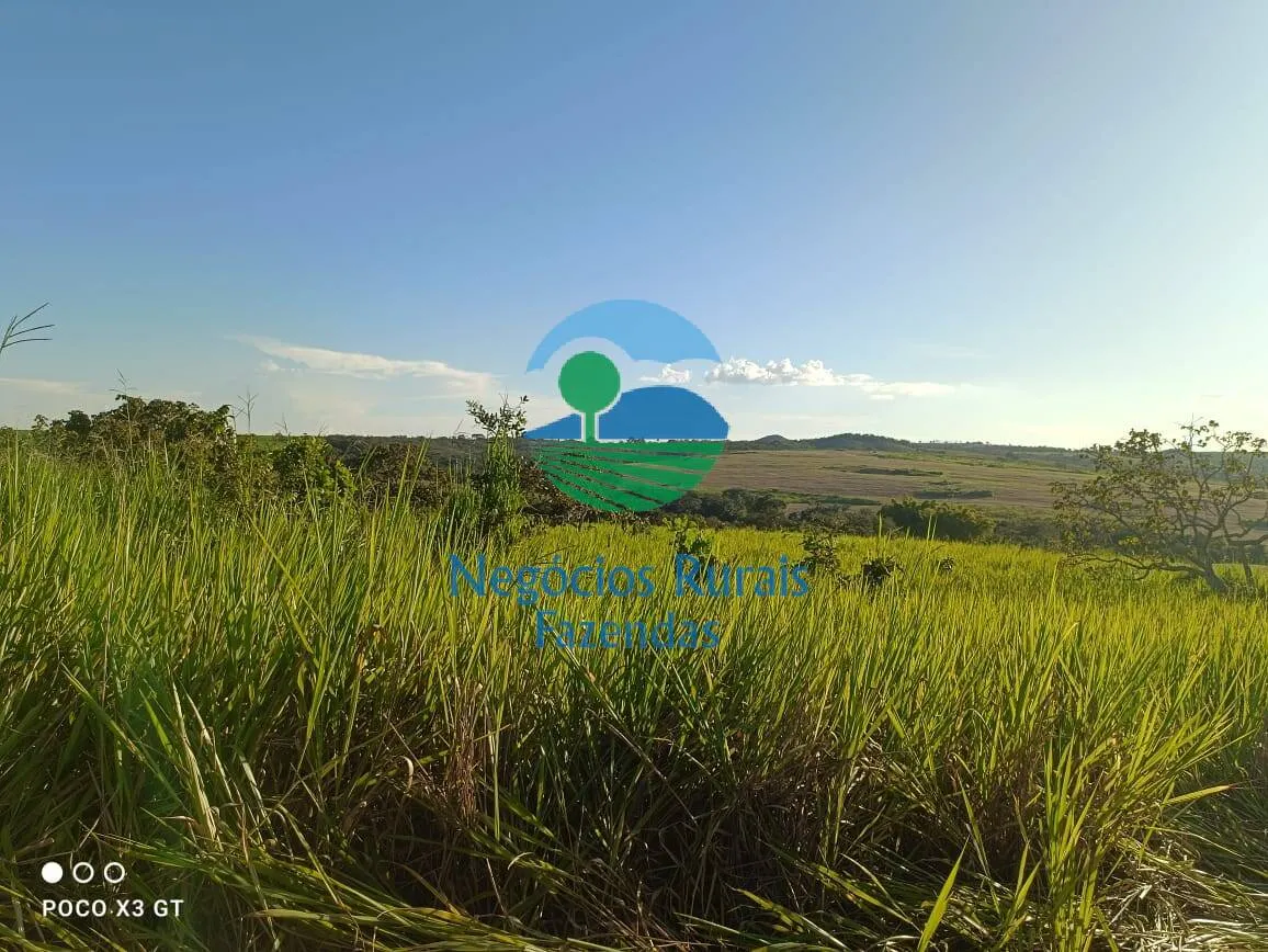Fazenda à venda de 159 ha em Ipameri, GO, Brasil