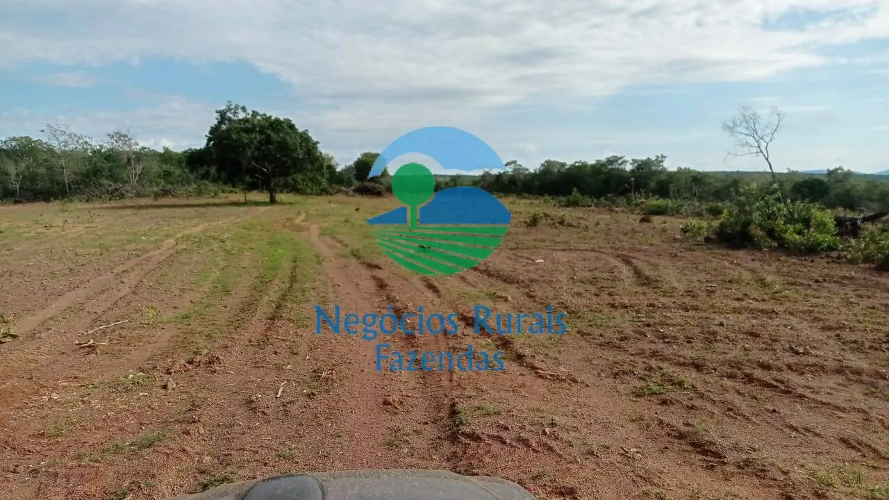 Fazenda à venda de 561 ha em Porangatu, GO, Brasil