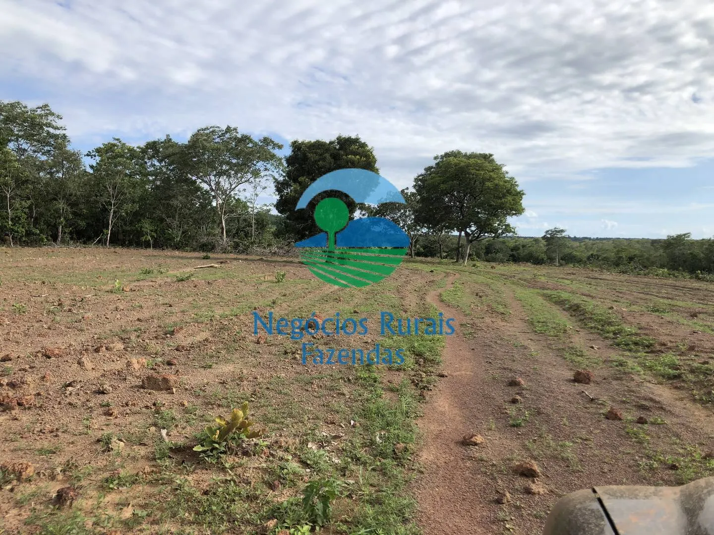Fazenda à venda de 561 ha em Porangatu, GO, Brasil