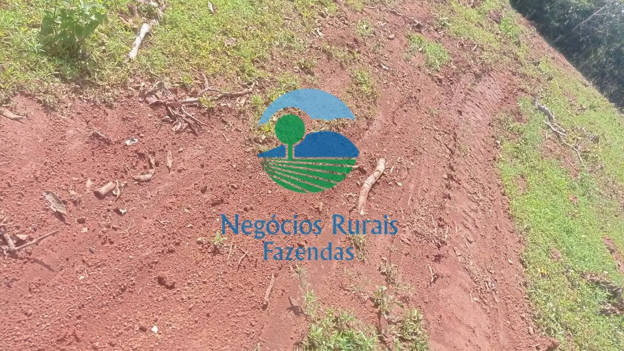 Fazenda à venda de 561 ha em Porangatu, GO, Brasil