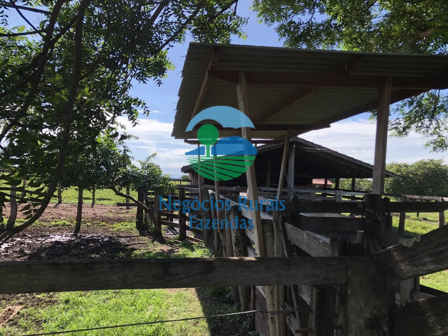 Fazenda à venda de 561 ha em Porangatu, GO, Brasil