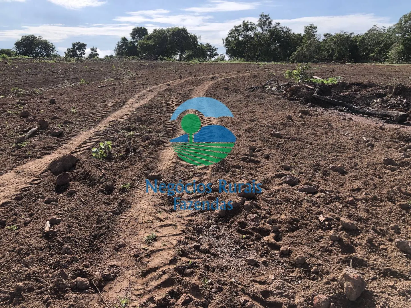 Fazenda à venda de 561 ha em Porangatu, GO, Brasil