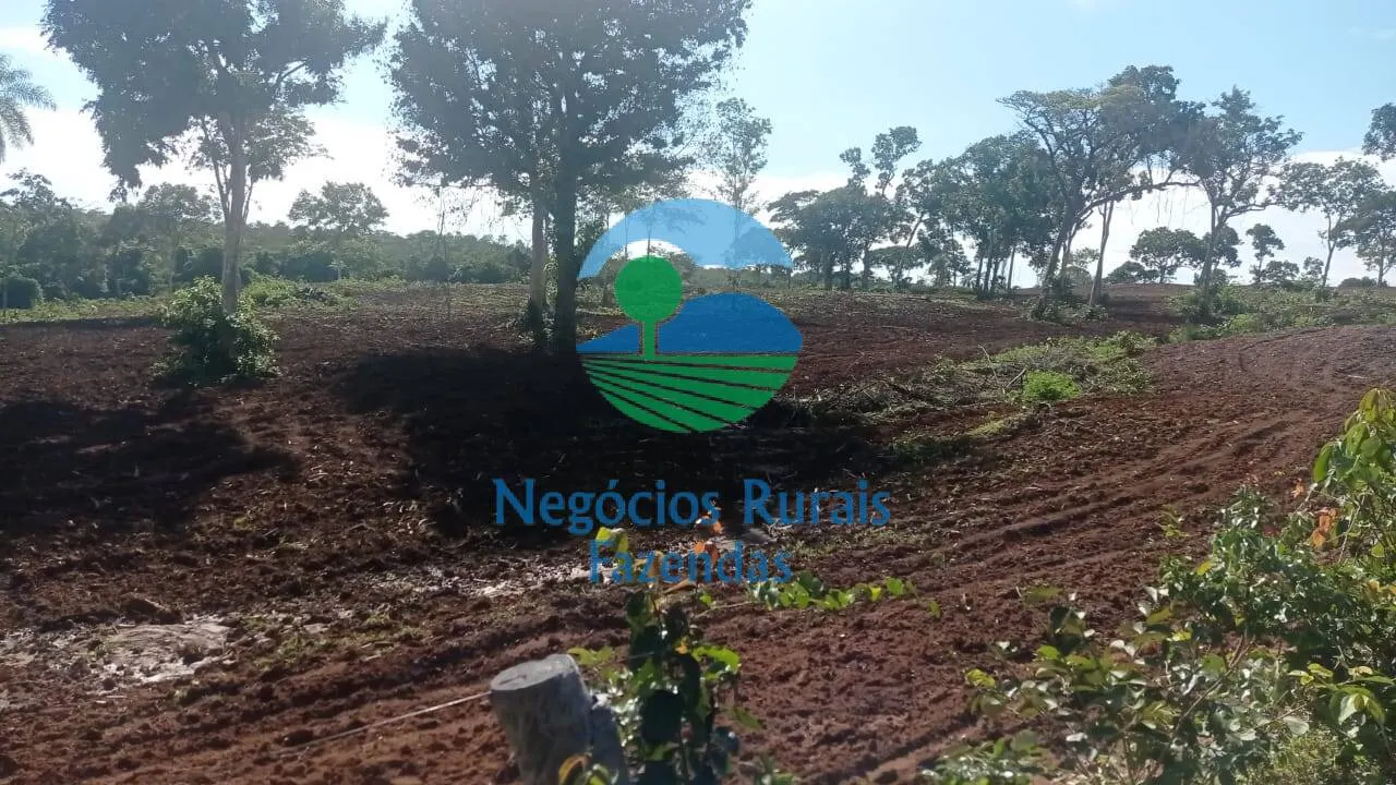 Fazenda à venda de 561 ha em Porangatu, GO, Brasil