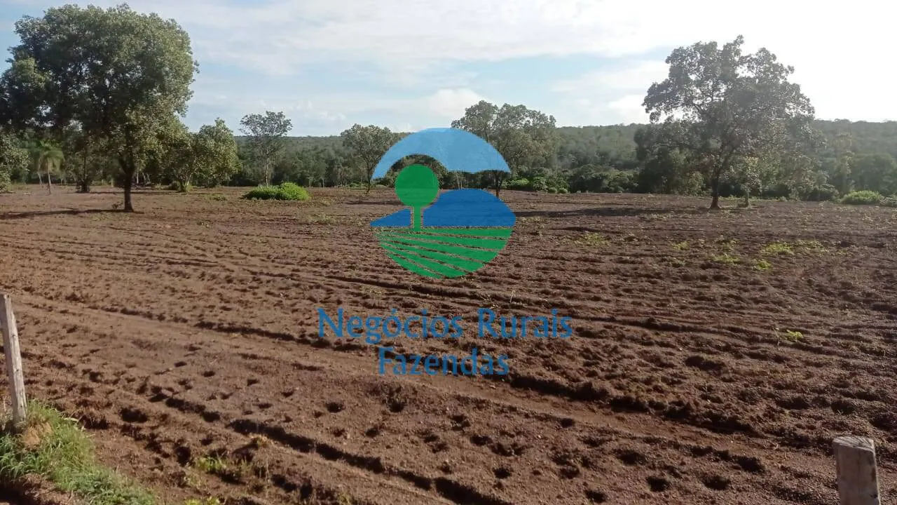 Fazenda à venda de 561 ha em Porangatu, GO, Brasil