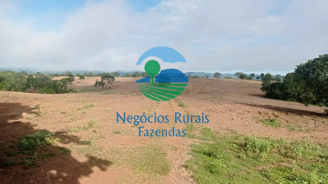 Fazenda à venda de 561 ha em Porangatu, GO, Brasil
