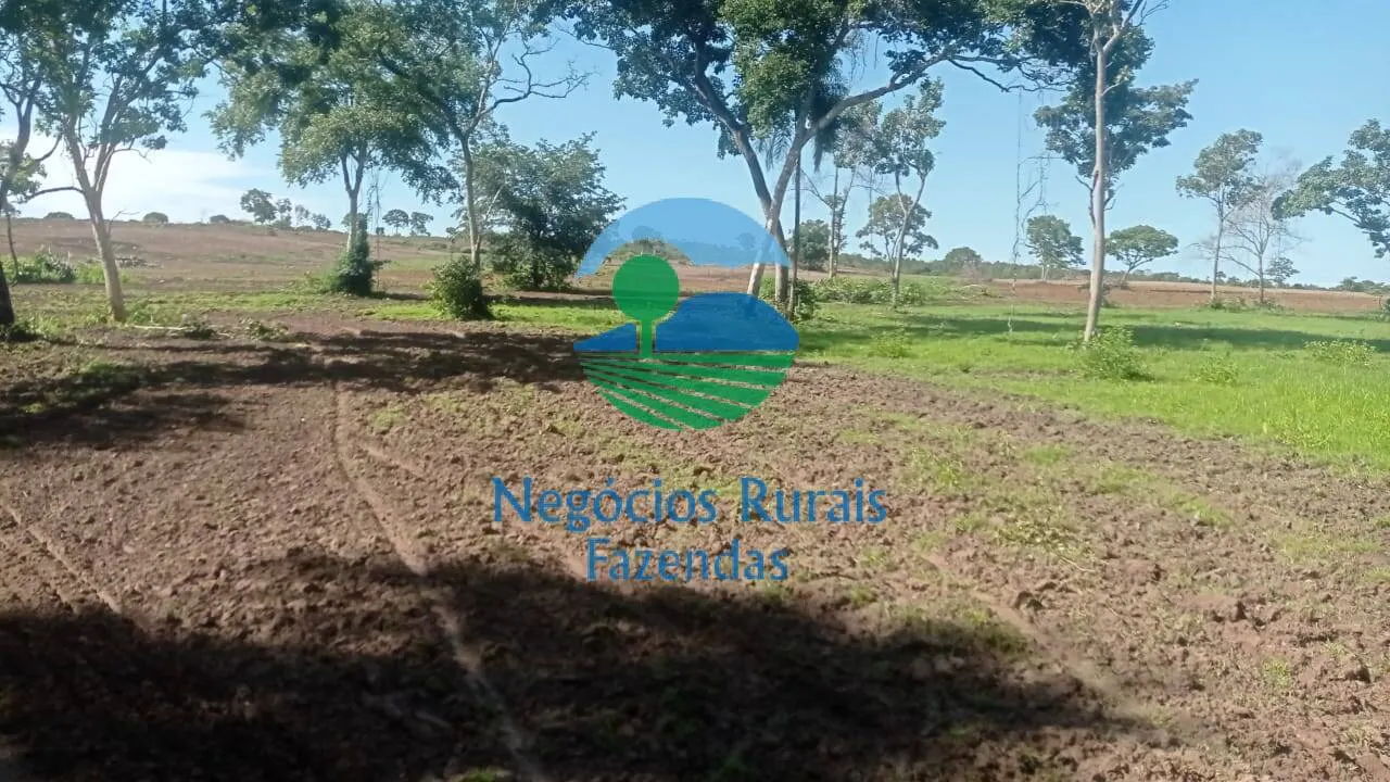Fazenda à venda de 561 ha em Porangatu, GO, Brasil