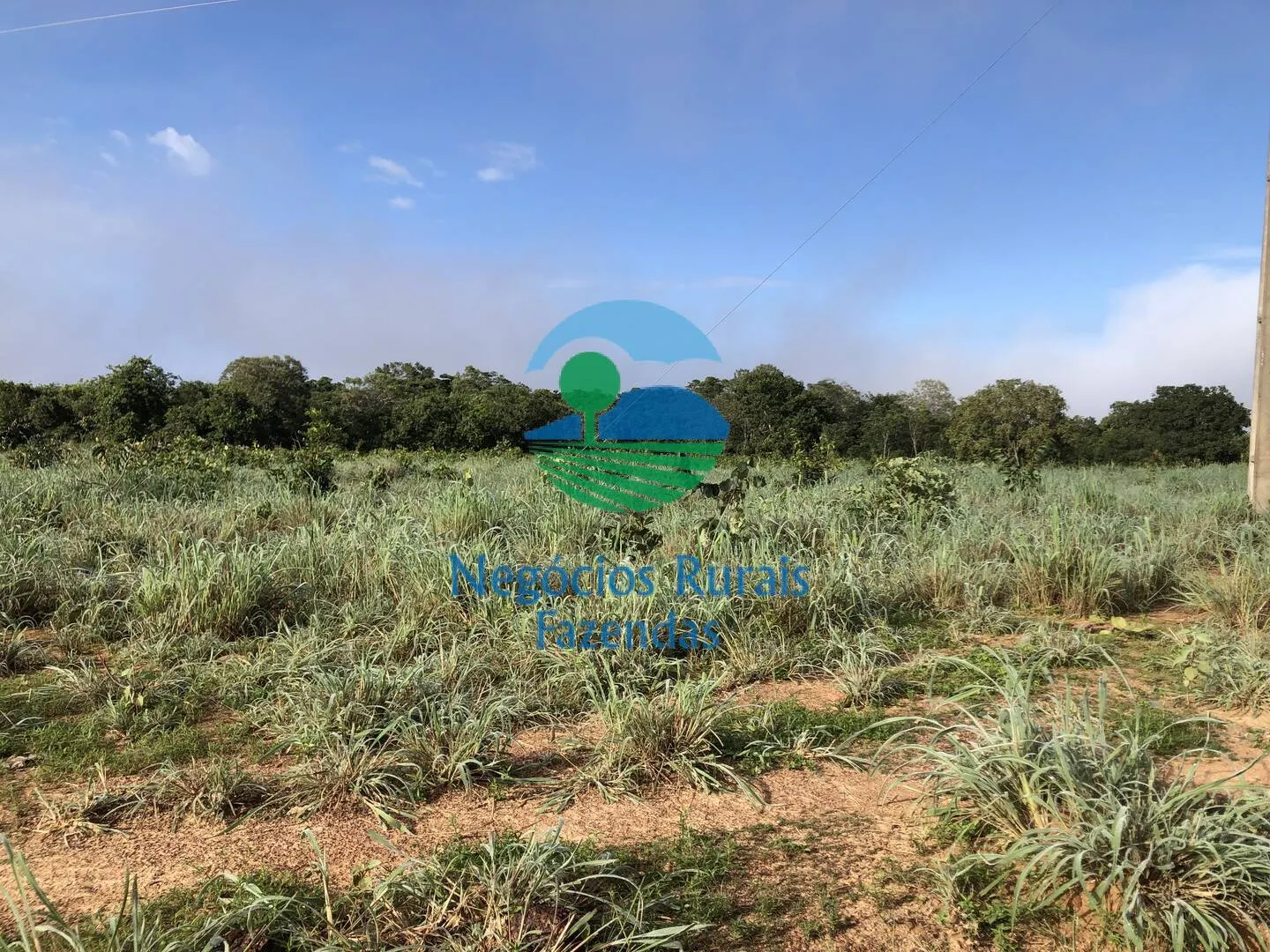 Fazenda à venda de 561 ha em Porangatu, GO, Brasil