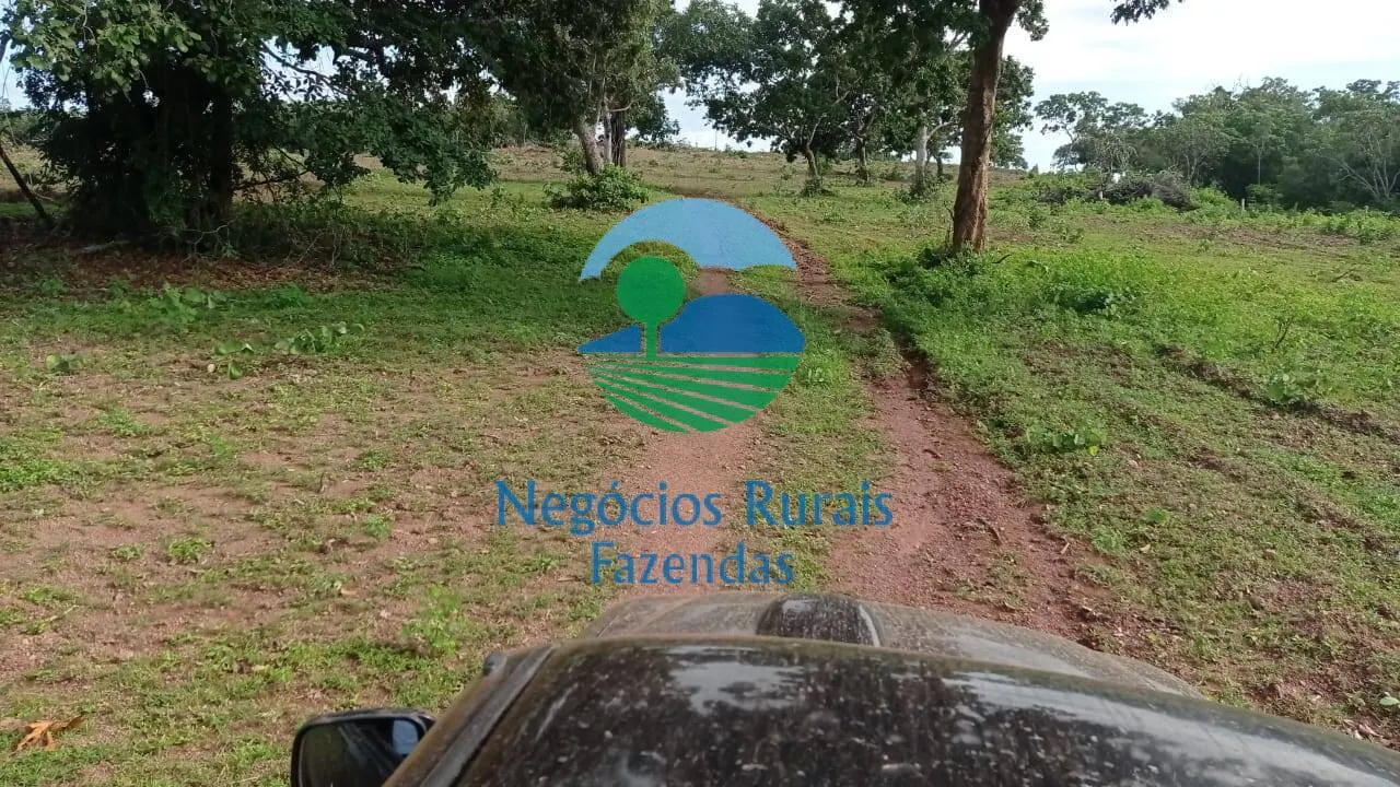 Fazenda à venda de 561 ha em Porangatu, GO, Brasil