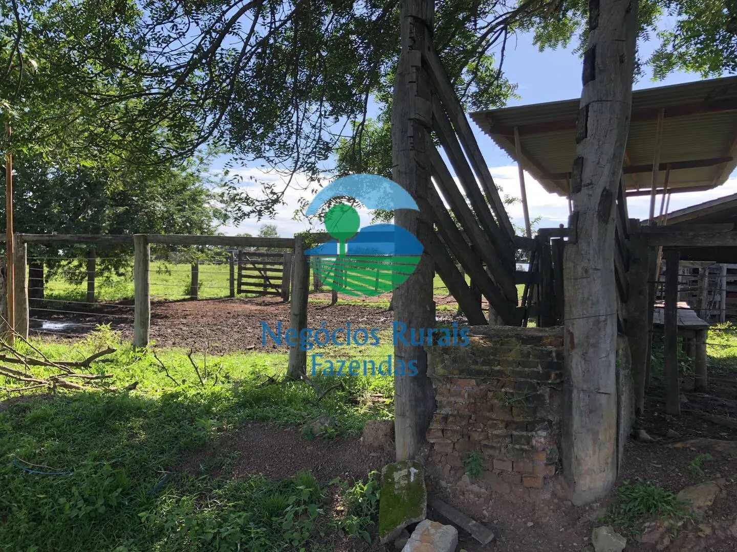Fazenda à venda de 561 ha em Porangatu, GO, Brasil