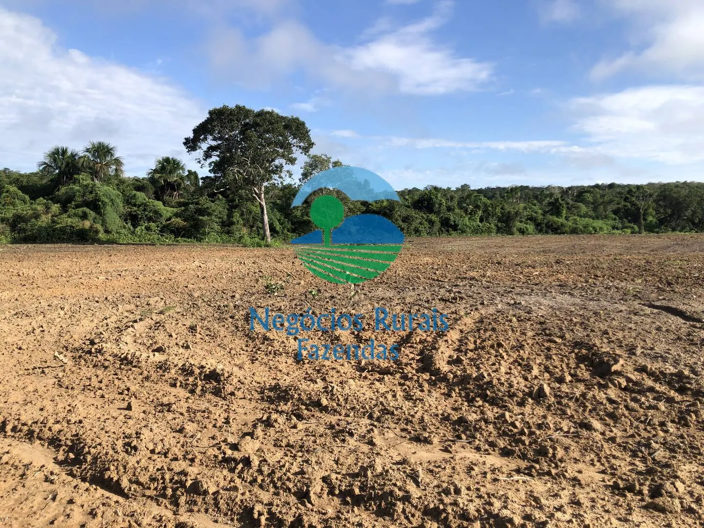 Fazenda à venda de 561 ha em Porangatu, GO, Brasil