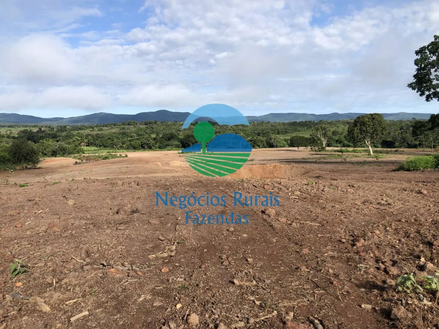 Fazenda à venda de 561 ha em Porangatu, GO, Brasil