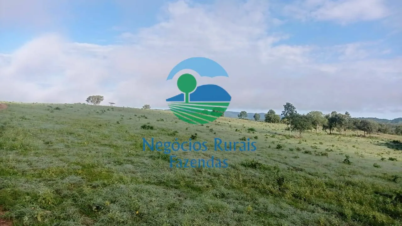 Fazenda à venda de 561 ha em Porangatu, GO, Brasil