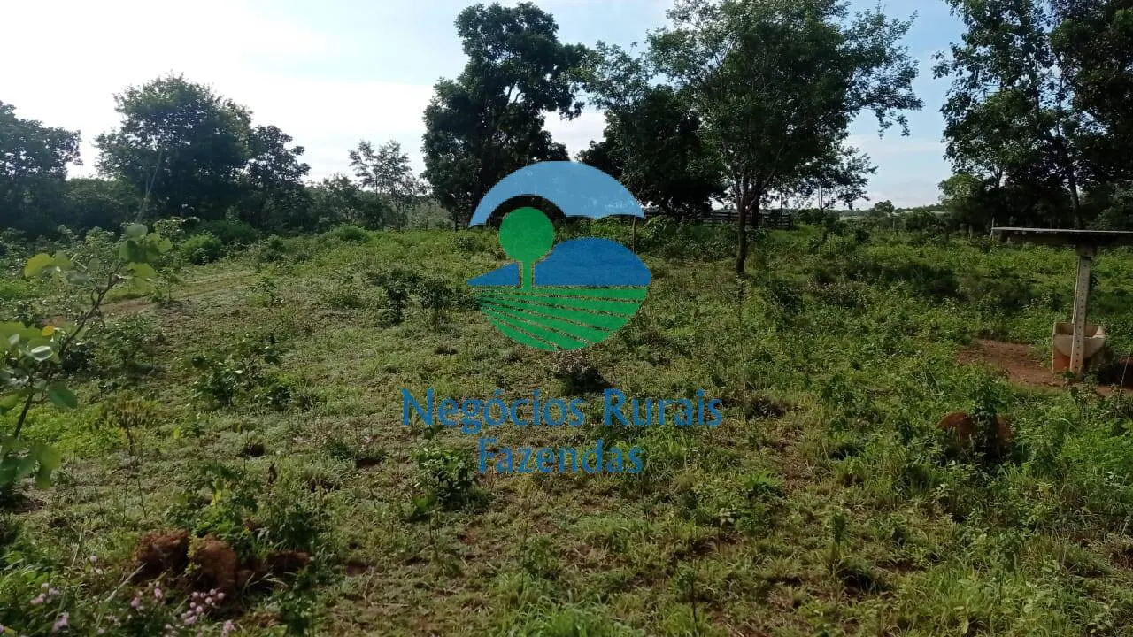 Fazenda à venda de 561 ha em Porangatu, GO, Brasil