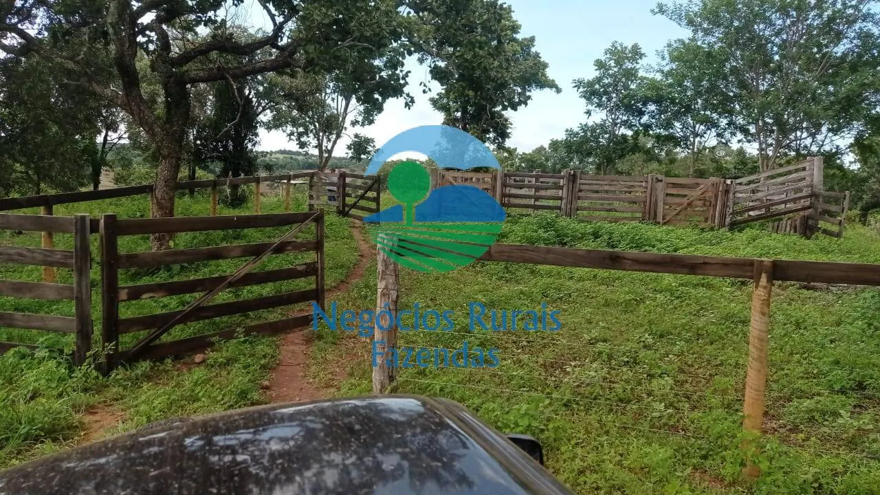 Fazenda à venda de 561 ha em Porangatu, GO, Brasil