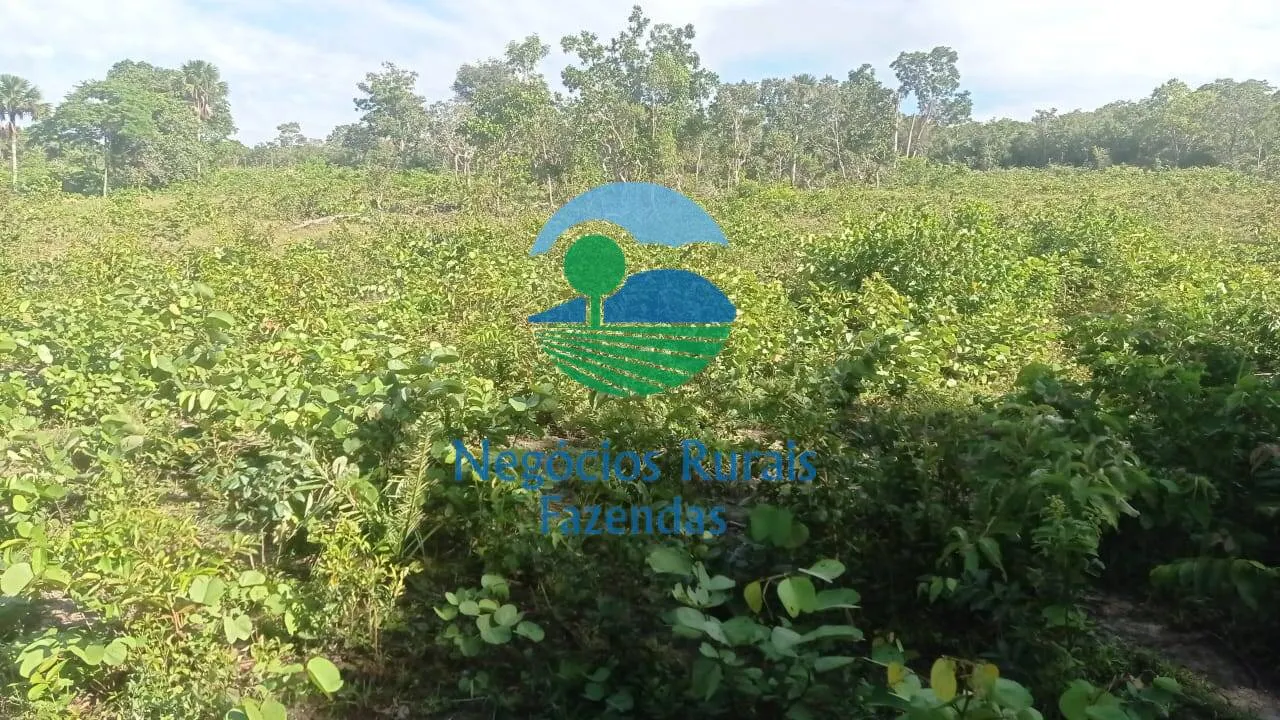 Fazenda à venda de 561 ha em Porangatu, GO, Brasil
