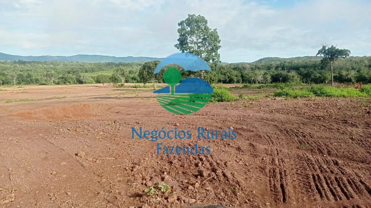 Fazenda à venda de 561 ha em Porangatu, GO, Brasil