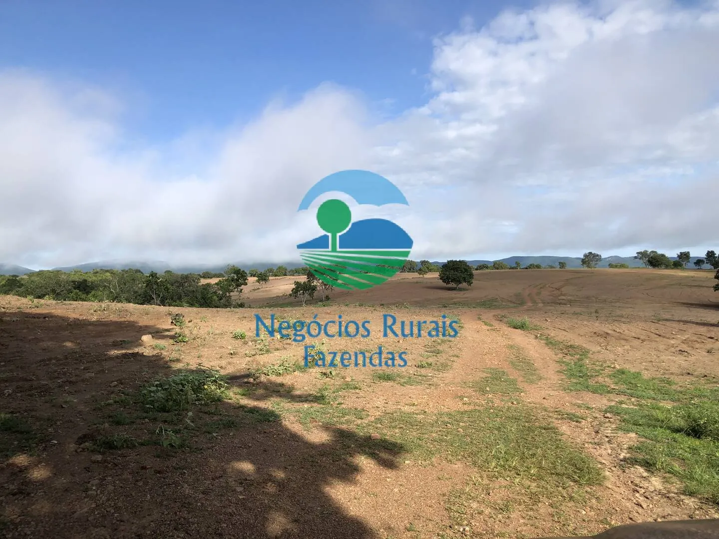 Fazenda à venda de 561 ha em Porangatu, GO, Brasil