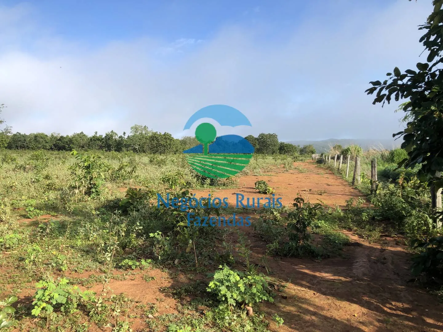 Fazenda à venda de 561 ha em Porangatu, GO, Brasil