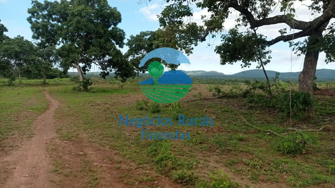 Fazenda à venda de 561 ha em Porangatu, GO, Brasil