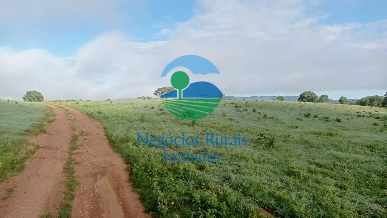 Fazenda à venda de 561 ha em Porangatu, GO, Brasil