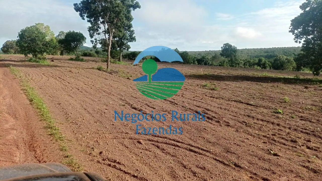Fazenda à venda de 561 ha em Porangatu, GO, Brasil