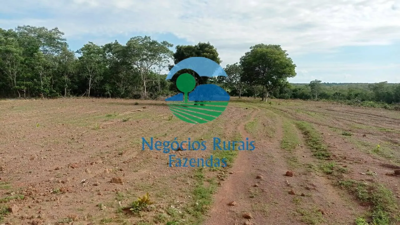 Fazenda à venda de 561 ha em Porangatu, GO, Brasil